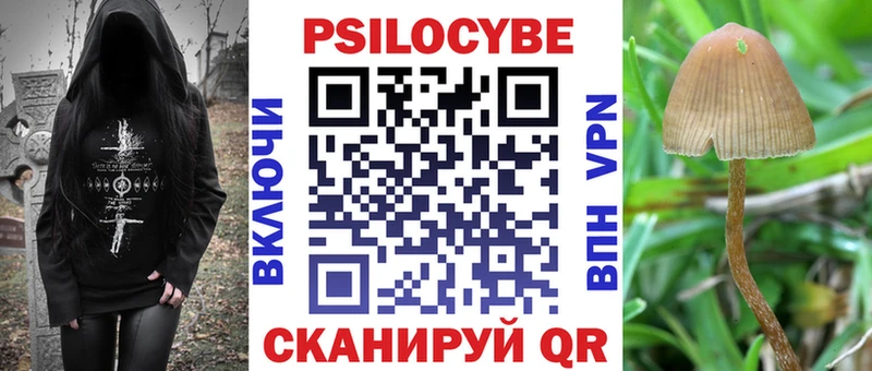 Галлюциногенные грибы мухоморы  Краснознаменск 